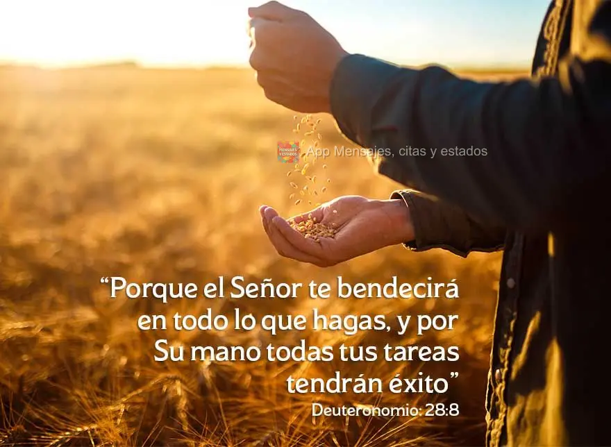 “Porque el Señor te bendecirá en todo lo que hagas, y por Su mano todas tus tareas tendrán éxito” Deuteronomio: 28:8