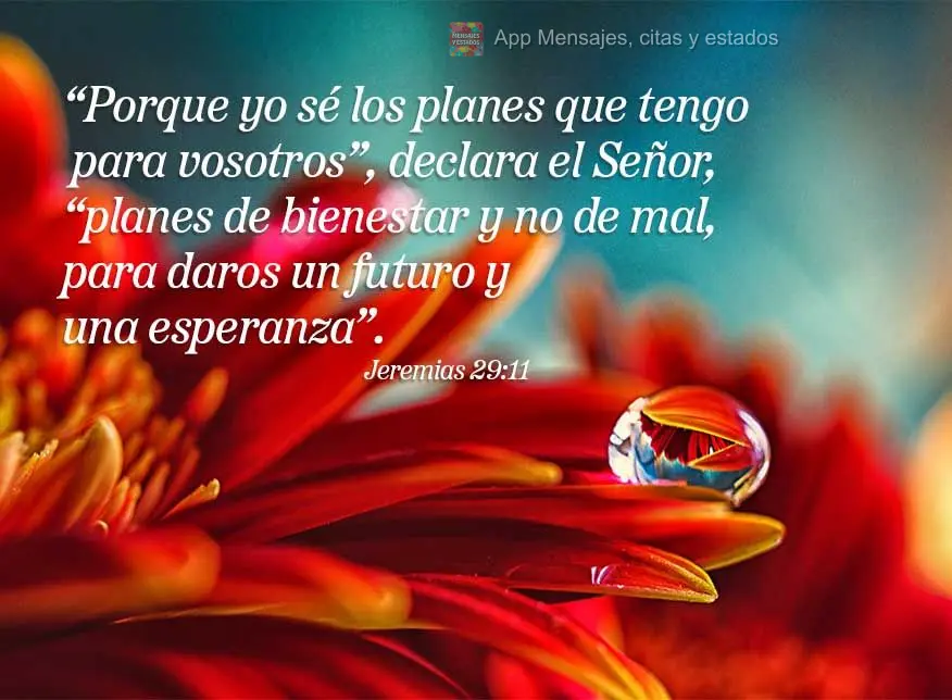 “Porque yo sé los planes que tengo para vosotros”, declara el Señor, “planes de bienestar y no de mal, para daros un futuro y una esperanza”. J...