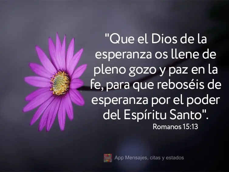"Que el Dios de la esperanza os llene de pleno gozo y paz en la fe, para que reboséis de esperanza por el poder del Espíritu Santo". Romanos 15:13