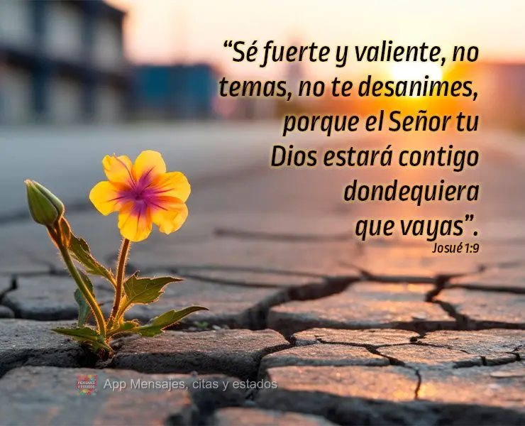 “Sé fuerte y valiente, no temas, no te desanimes, porque el Señor tu Dios estará contigo dondequiera que vayas”. Josué 1:9