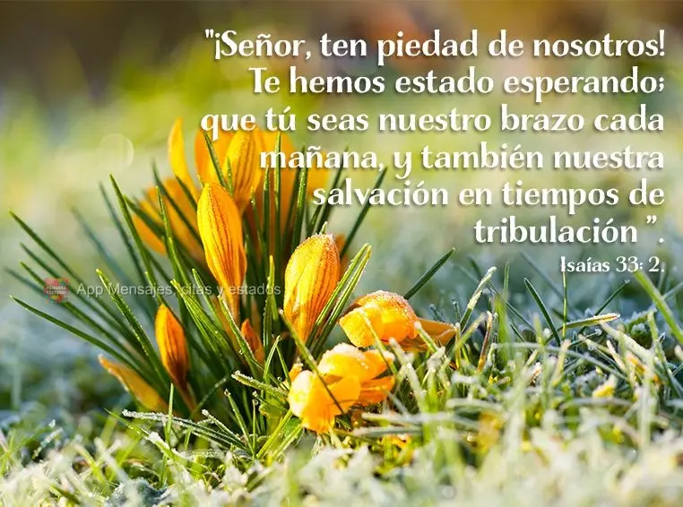 "¡Señor, ten piedad de nosotros! Te hemos estado esperando; que tú seas nuestro brazo cada mañana, y también nuestra salvación en tiempos de tribul...