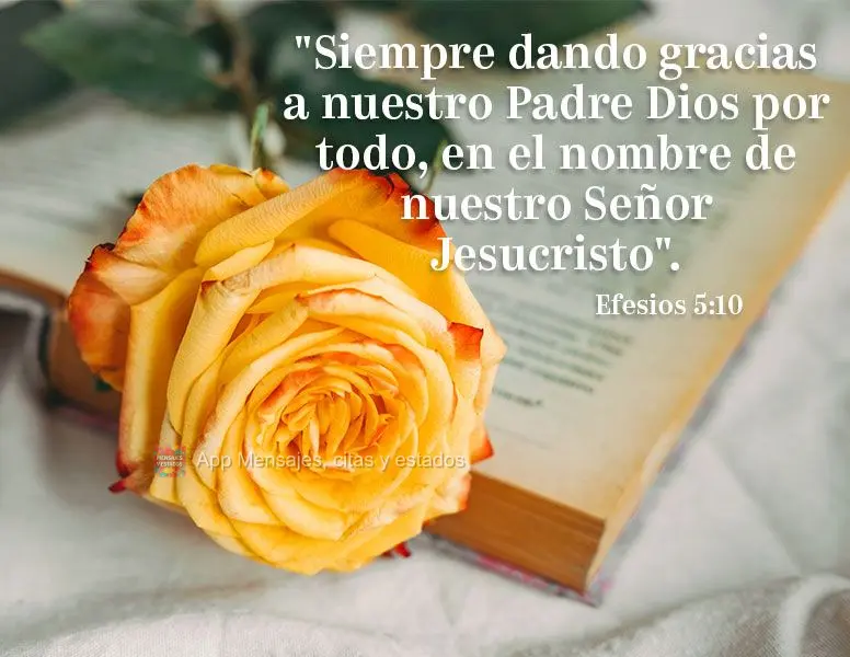 "Siempre dando gracias a nuestro Padre Dios por todo, en el nombre de nuestro Señor Jesucristo". Efesios 5:10
