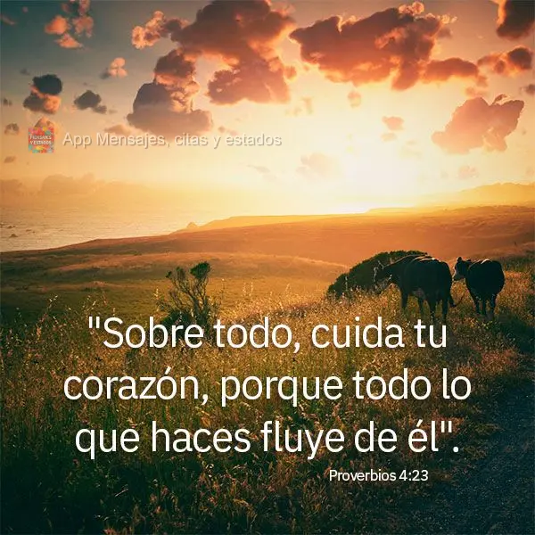 "Sobre todo, cuida tu corazón, porque todo lo que haces fluye de él". Proverbios 4:23