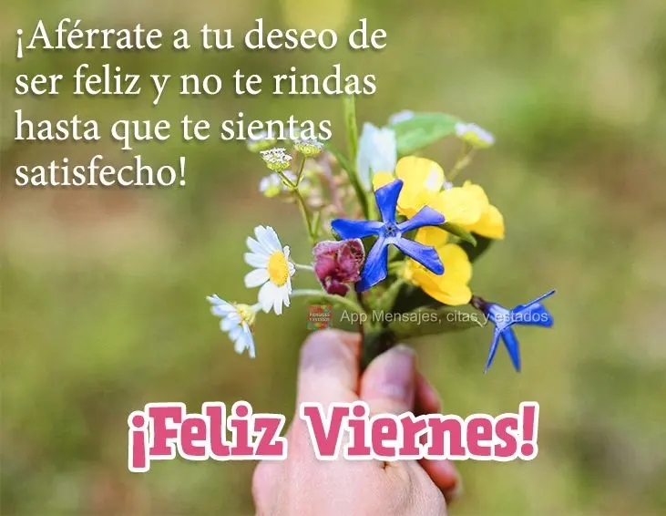 ¡Aférrate a tu deseo de ser feliz y no te rindas hasta que te sientas satisfecho! ¡Feliz viernes!