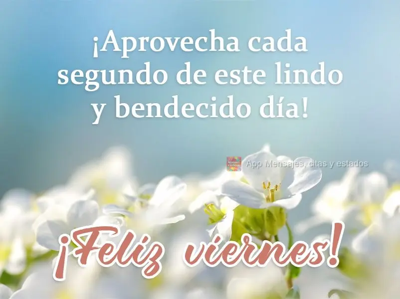 ¡Aprovecha cada segundo de este lindo y bendecido día! ¡Feliz viernes!