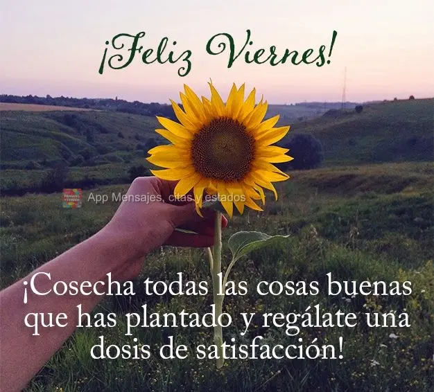 ¡Cosecha todas las cosas buenas que has plantado y regálate una dosis de satisfacción! ¡Feliz viernes!