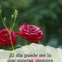 ¡El día puede ser lo que quieras, siempre y cuando tu punto de vista esté orientado a ver el lado hermoso de la vida! ¡Feliz viernes!