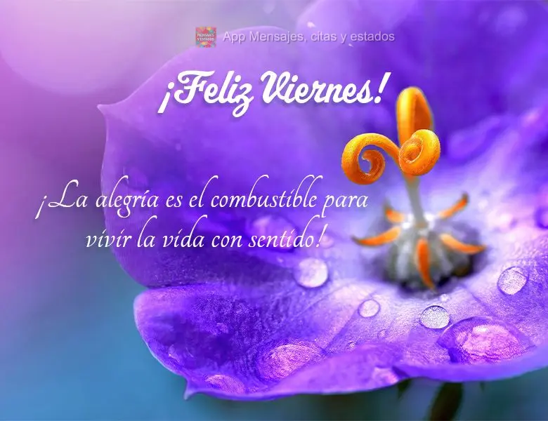 ¡La alegría es el combustible para vivir la vida con sentido! ¡Feliz viernes!