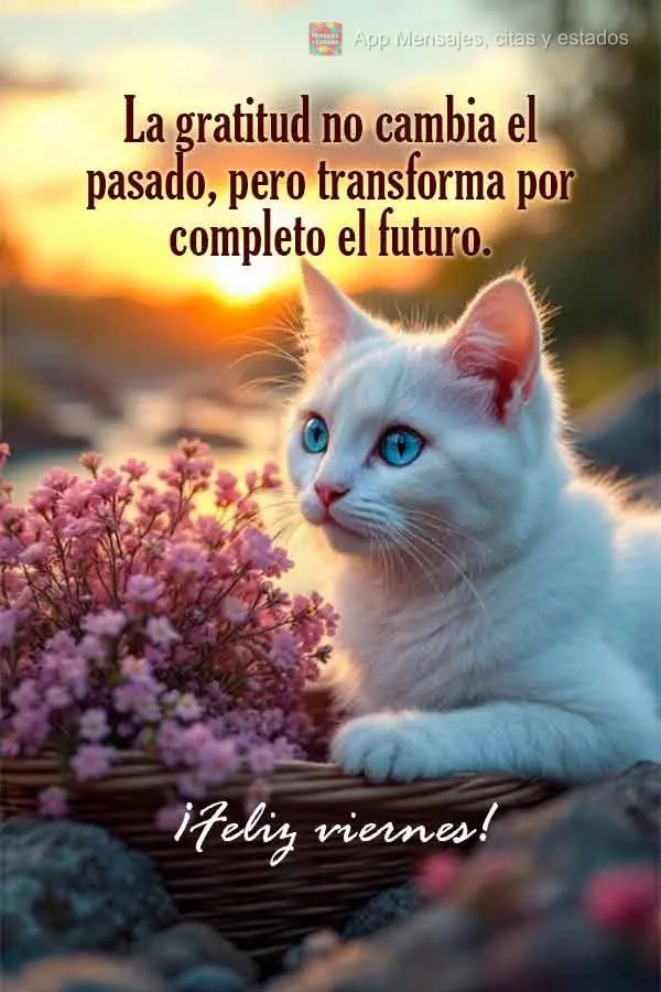 La gratitud no cambia el pasado, pero transforma por completo el futuro. ¡Feliz viernes!