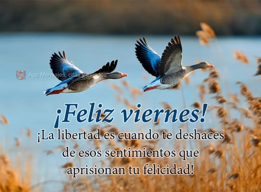 ¡La libertad es cuando te deshaces de esos sentimientos que aprisionan tu felicidad! ¡Feliz viernes!