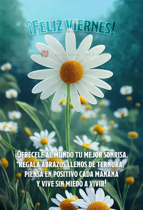 ¡Ofrécele al mundo tu mejor sonrisa, regala abrazos llenos de ternura, piensa en positivo cada mañana y vive sin miedo a vivir! ¡Feliz viernes!