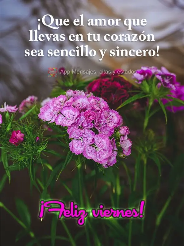 ¡Que el amor que llevas en tu corazón sea sencillo y sincero! ¡Feliz viernes!