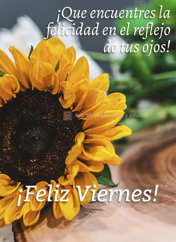 ¡Que encuentres la felicidad en el reflejo de tus ojos! ¡Feliz viernes!