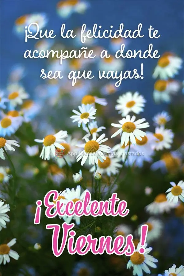 ¡Que la felicidad te acompañe a donde sea que vayas! ¡Excelente viernes!