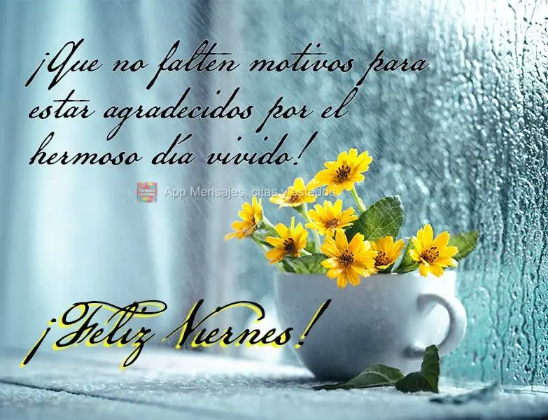¡Que no falten motivos para estar agradecidos por el hermoso día vivido! ¡Feliz viernes!