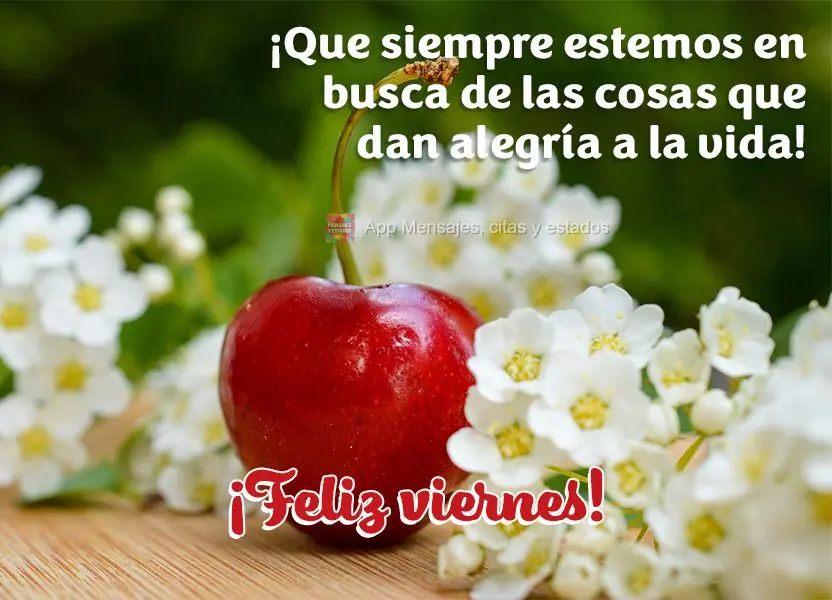 ¡Que siempre estemos en busca de las cosas que dan alegría a la vida! ¡Feliz viernes!