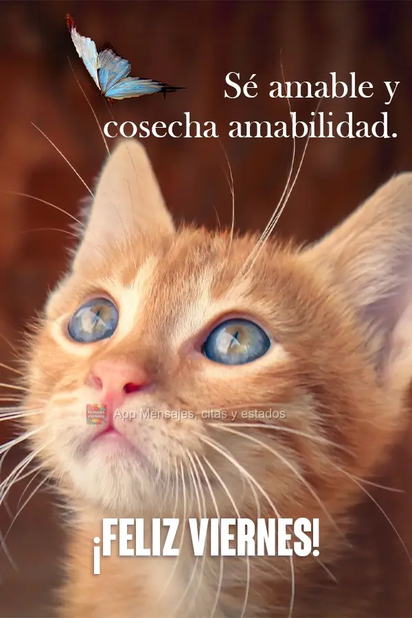 Sé amable y cosecha amabilidad. ¡Feliz viernes!