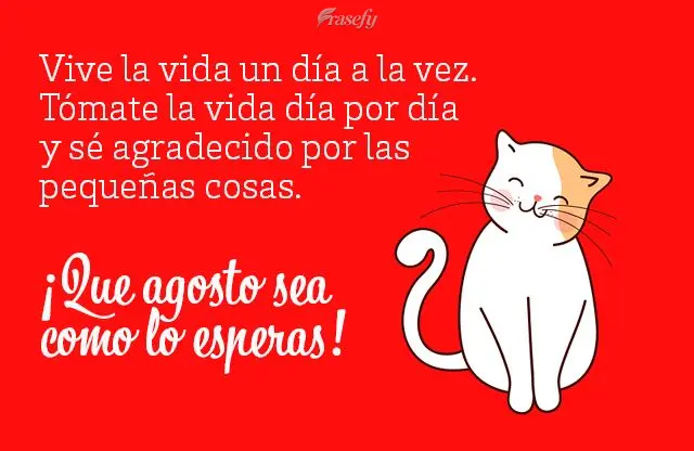 Viva a vida, dia após dia, leve a vida dia após dia, e seja grato pelas pequenas coisas. Que agosto seja ao nosso gosto! 
