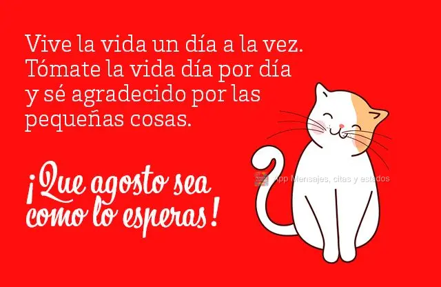 Vive la vida un día a la vez. Tómate la vida día por día y sé agradecido por las pequeñas cosas. ¡Que agosto sea como lo esperas!