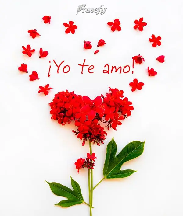 ¡Yo te amo!