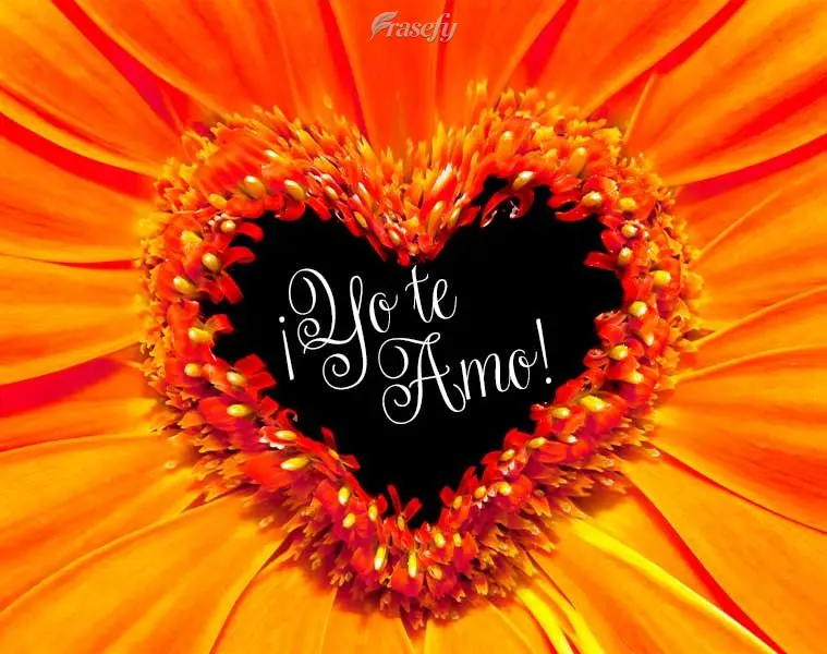 ¡Yo te amo!