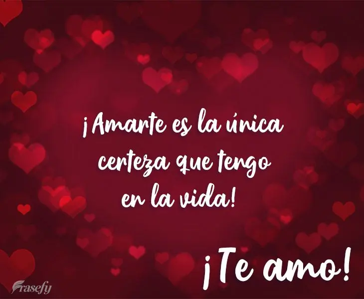 ¡Amarte es la única certeza que tengo en la vida! ¡Te amo!