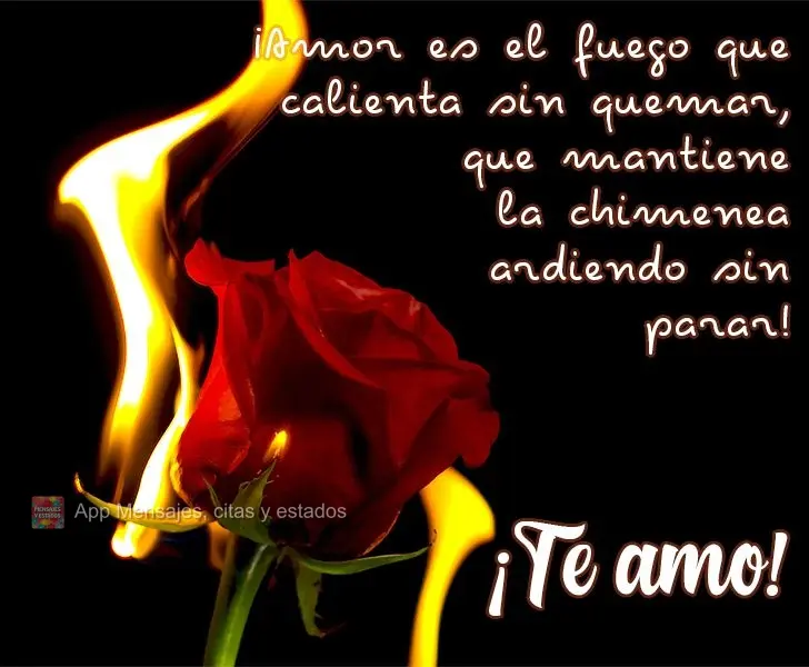 ¡Amor es el fuego que calienta sin quemar, que mantiene la chimenea ardiendo sin parar! ¡Te amo!