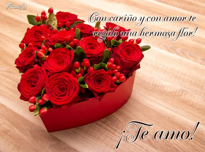 Con cariño y con amor te regalo una hermosa flor! ¡Te amo!