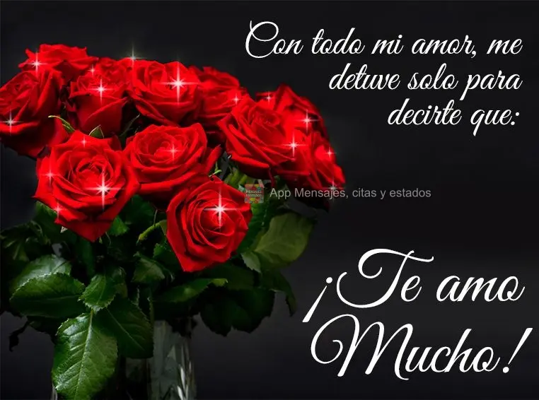 Con todo mi amor, me detuve solo para decirte que: ¡Te amo mucho!