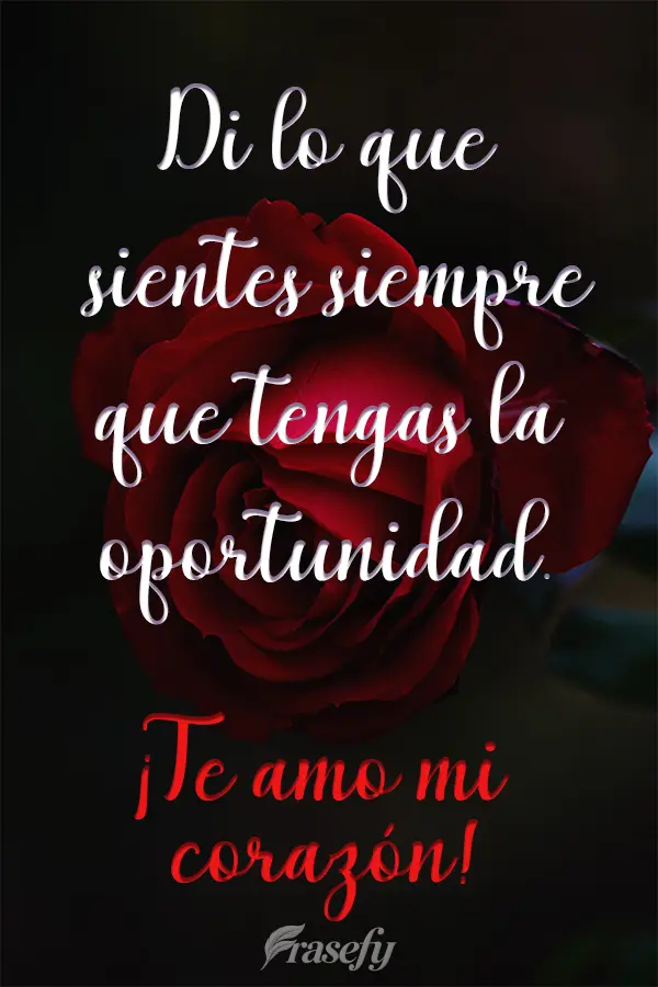 Di lo que sientes siempre que tengas la oportunidad. ¡Te amo mi corazón!