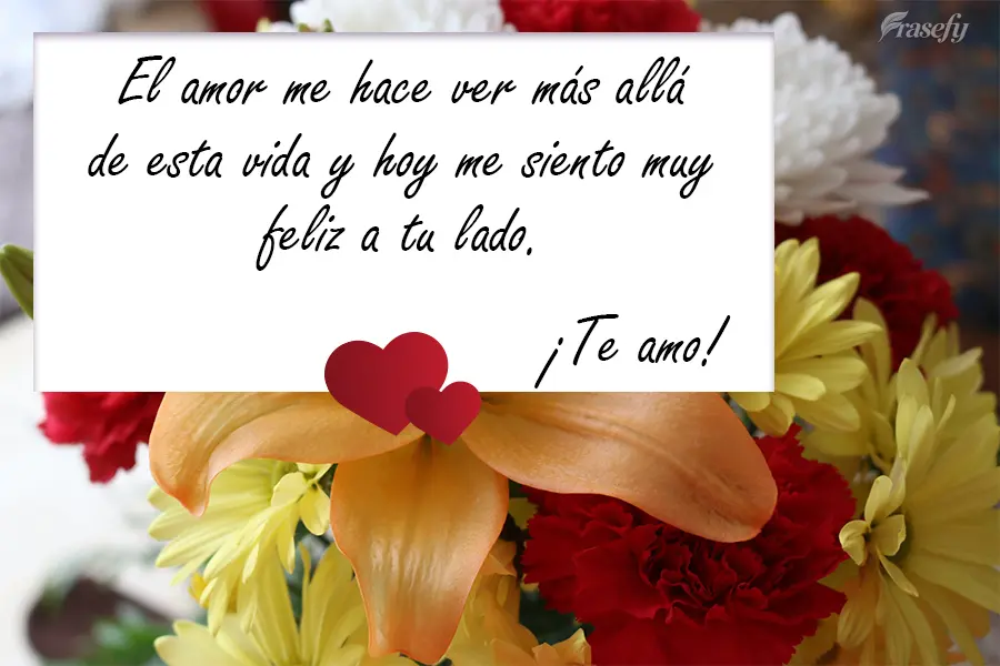 El amor me hace ver más allá de esta vida y hoy me siento muy feliz a tu lado. ¡Te amo!