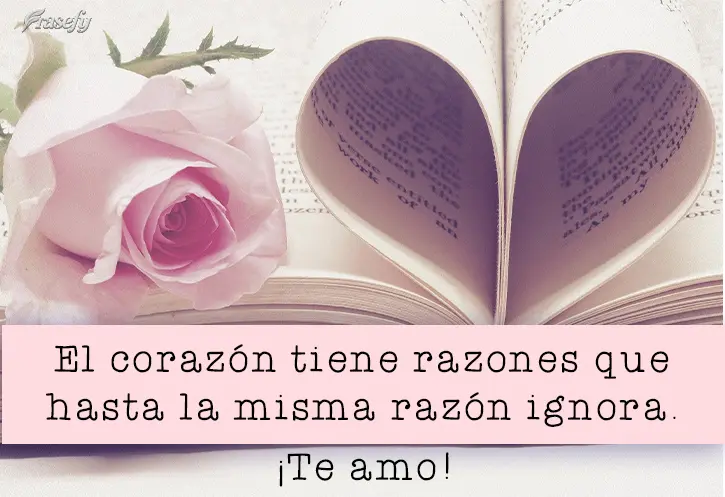 El corazón tiene razones que hasta la misma razón ignora. ¡Te amo!