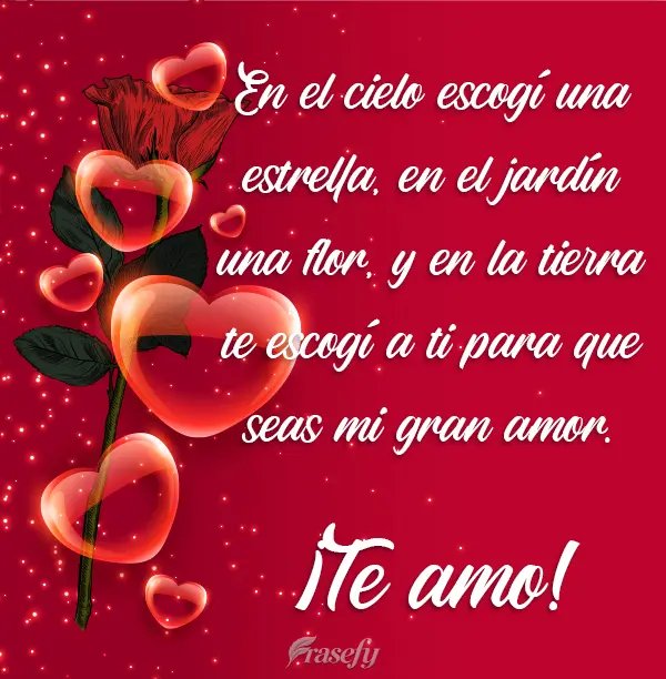 En el cielo escogí una estrella, en el jardín una flor, y en la tierra te escogí a ti para que seas mi gran amor. ¡Te amo!