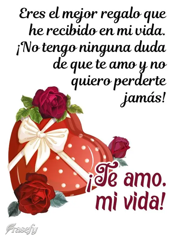 Eres el mejor regalo que he recibido en mi vida. ¡No tengo ninguna duda de que te amo y no quiero perderte jamás! ¡Te amo, mi vida!