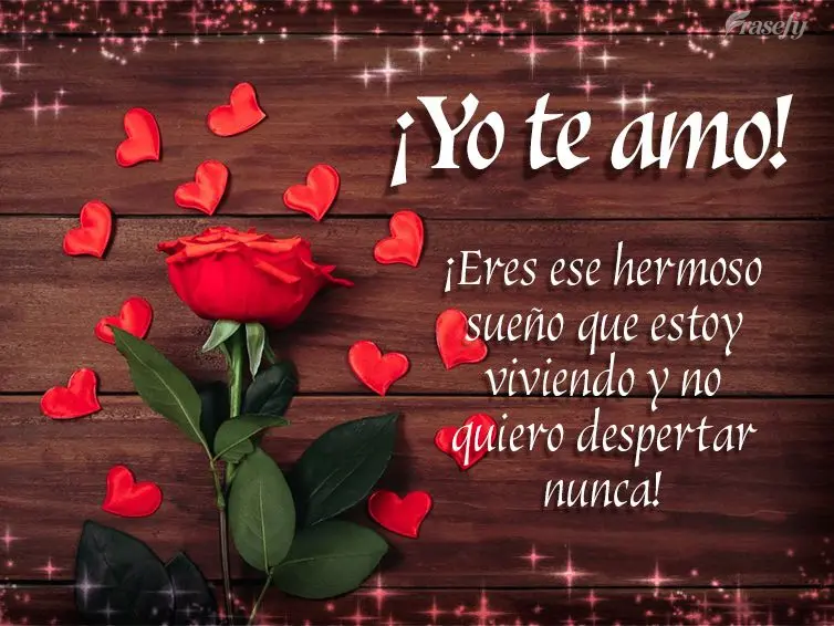 ¡Eres ese hermoso sueño que estoy viviendo y no quiero despertar nunca! ¡Yo te amo!