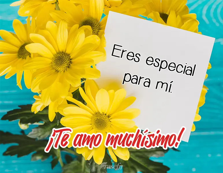 Eres especial para mí. ¡Te amo muchísimo!