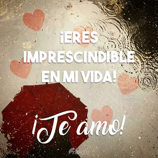 ¡Eres imprescindible en mi vida! ¡Te amo!