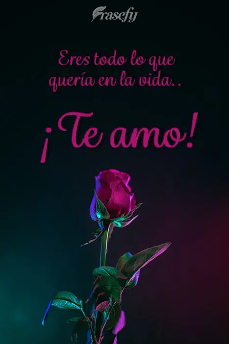 Eres todo lo que quería en la vida. ¡Te amo!