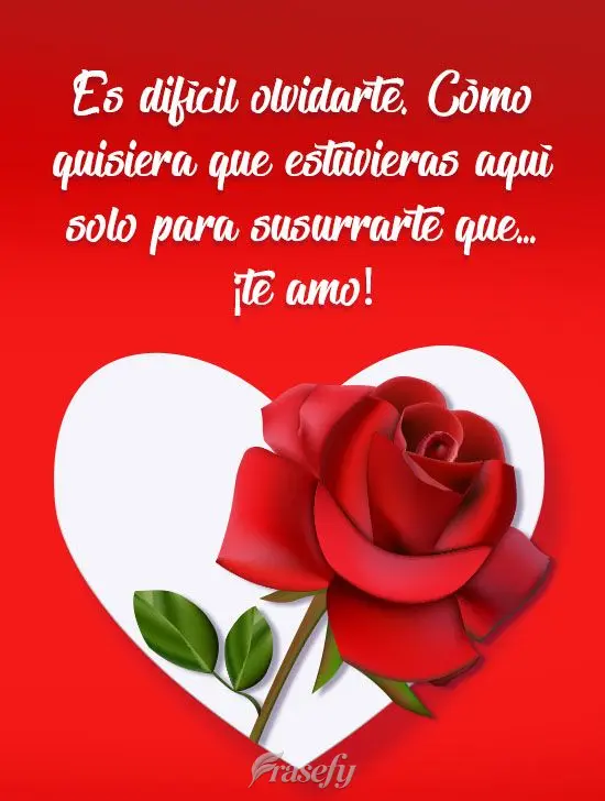 Es difícil olvidarte. Cómo quisiera que estuvieras aquí solo para susurrarte que... ¡te amo!