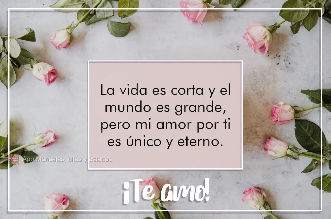 La vida es corta y el mundo es grande, pero mi amor por ti es único y eterno. ¡Te amo!