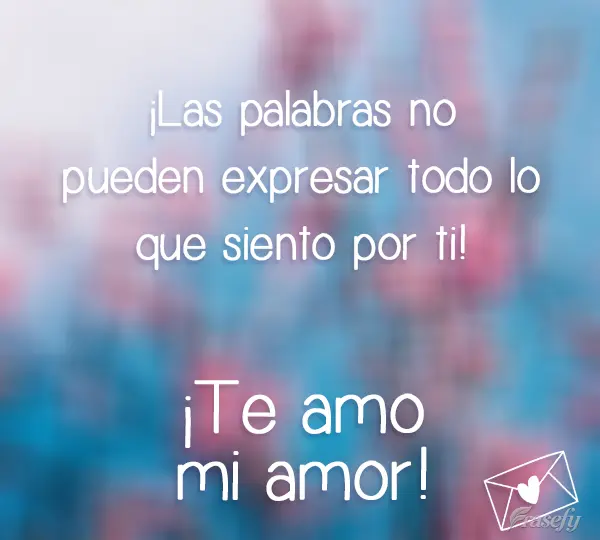 ¡Las palabras no pueden expresar todo lo que siento por ti! ¡Te amo mi amor!
