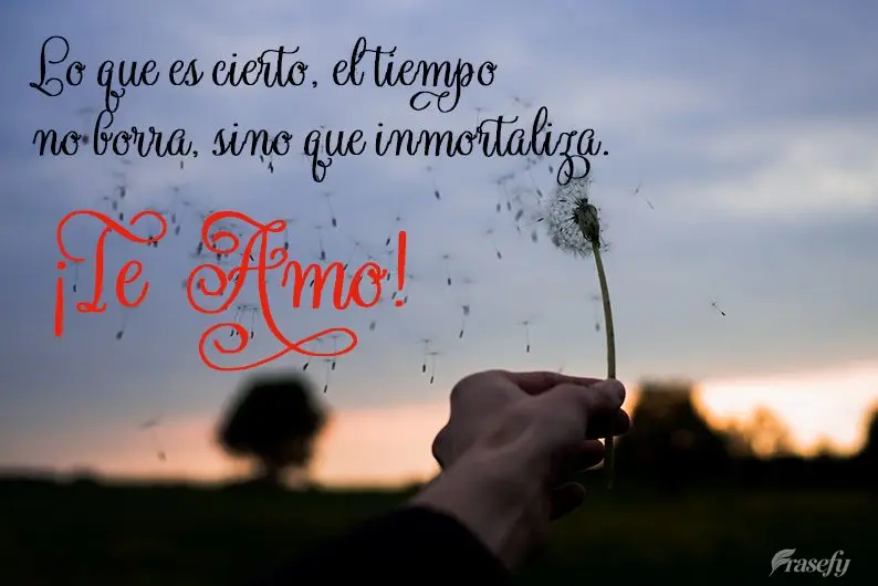Lo que es cierto, el tiempo no borra, sino que inmortaliza. ¡Te amo!