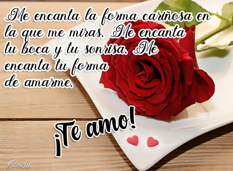 Me encanta la forma cariñosa en la que me miras. Me encanta tu boca y tu sonrisa. Me encanta tu forma de amarme. ¡Te amo!