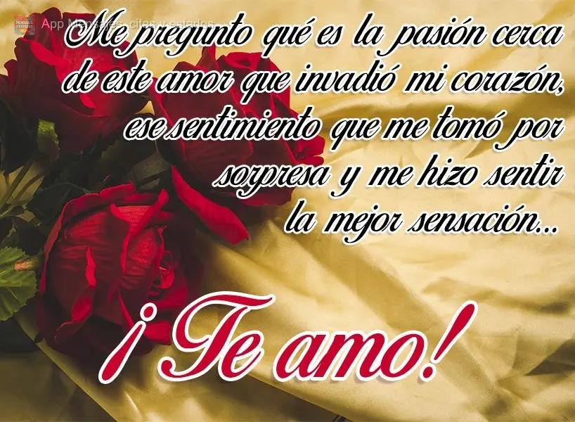 Me pregunto qué es la pasión cerca de este amor que invadió mi corazón, ese sentimiento que me tomó por sorpresa y me hizo sentir la mejor sensació...