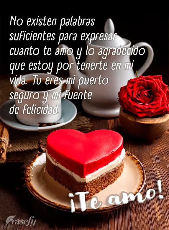 No existen palabras suficientes para expresar cuanto te amo y lo agradecido que estoy por tenerte en mi vida. Tu eres mi puerto seguro y mi fuente de fel...