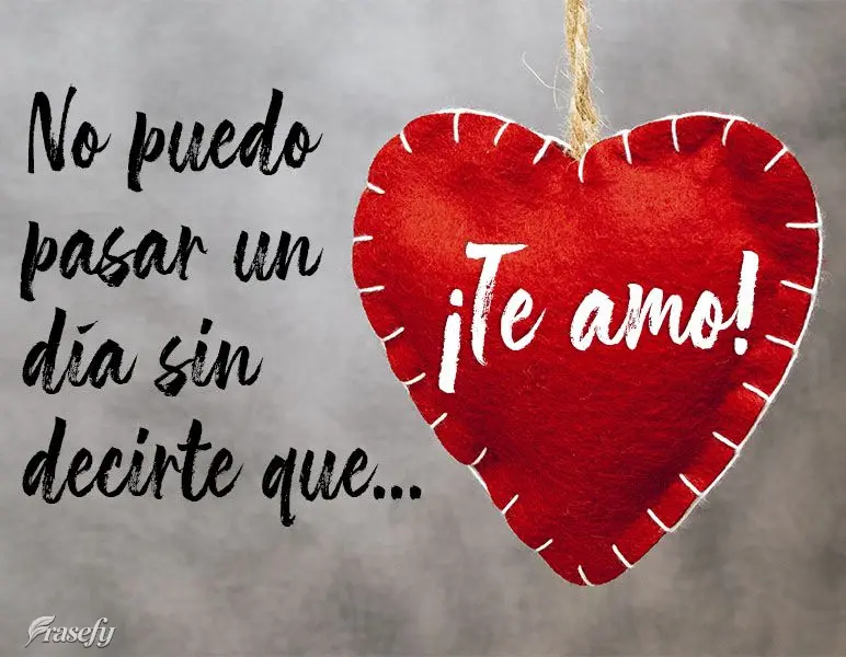 No puedo pasar un día sin decirte que... ¡te amo!