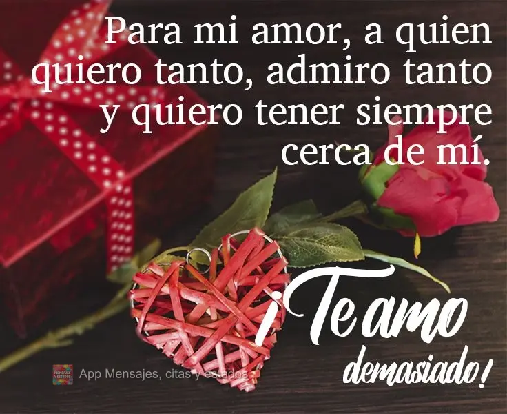 Para mi amor, a quien quiero tanto, admiro tanto y quiero tener siempre cerca de mí.  ¡Te amo demasiado!