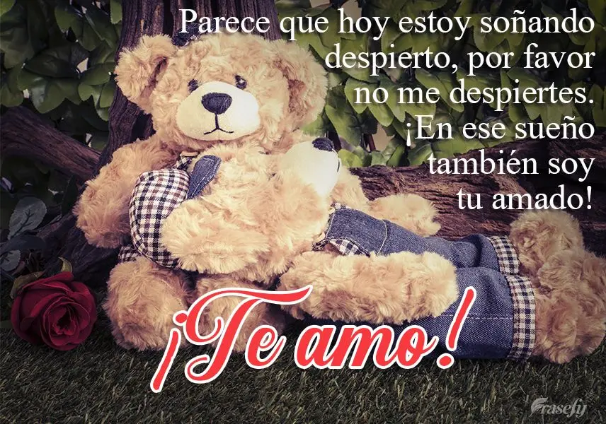 Parece que hoy estoy soñando despierto, por favor no me despiertes. ¡En ese sueño también soy tu amado! ¡Te amo!