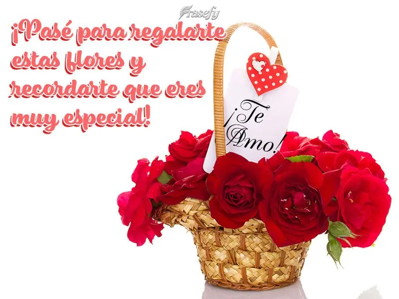 ¡Pasé para regalarte estas flores y recordarte que eres muy especial! ¡Te amo!