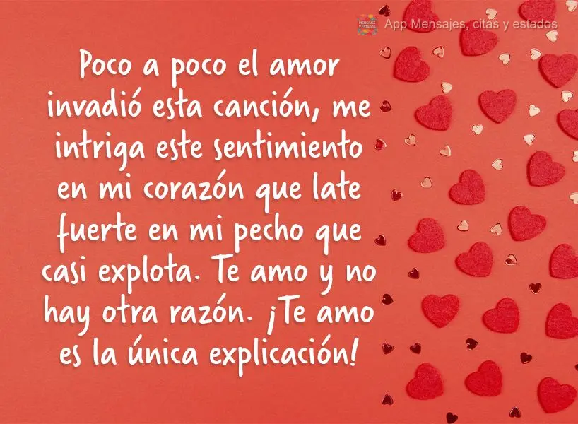 Poco a poco el amor invadió esta canción, me intriga este sentimiento en mi corazón que late fuerte en mi pecho que casi explota. Te amo y no hay otra...